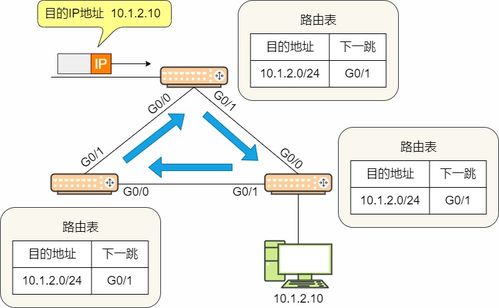 23張圖詳解路由協議 計算機網絡的核心技術服務